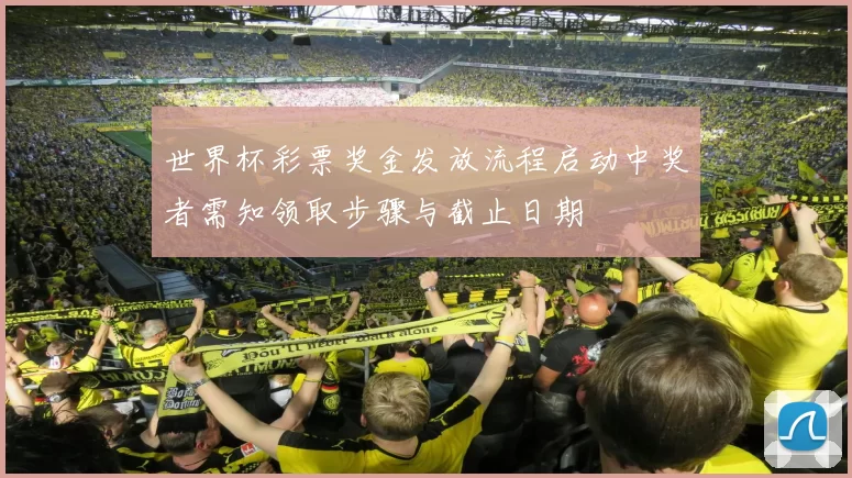世界杯彩票奖金发放流程启动中奖者需知领取步骤与截止日期