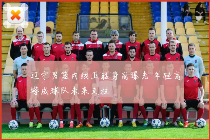 辽宁男篮内线卫猛身高曝光 年轻高塔成球队未来支柱